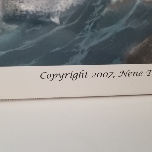 Nene Thomas Euphoria Horse Fairy Limited Edition Print Signed Numbered - Picture 6 of 15